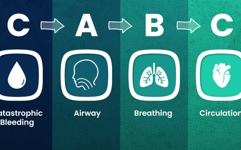 Health and Safety courses